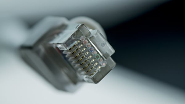 Closeup of an Ethernet Plug